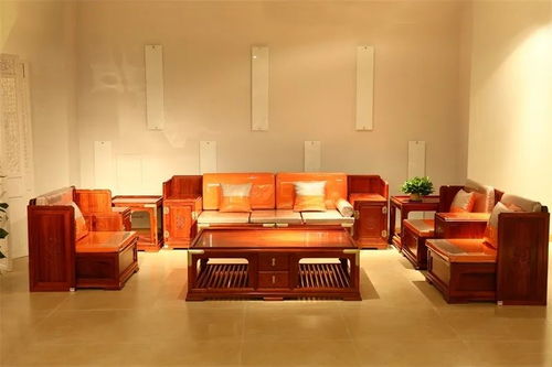 疫情期間家居最全消毒養護指南 守護健康，從細節做起